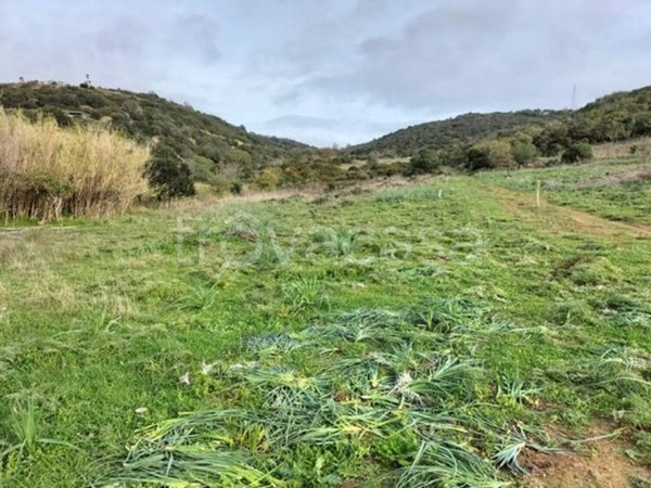 terreno in vendita a Santa Marinella
