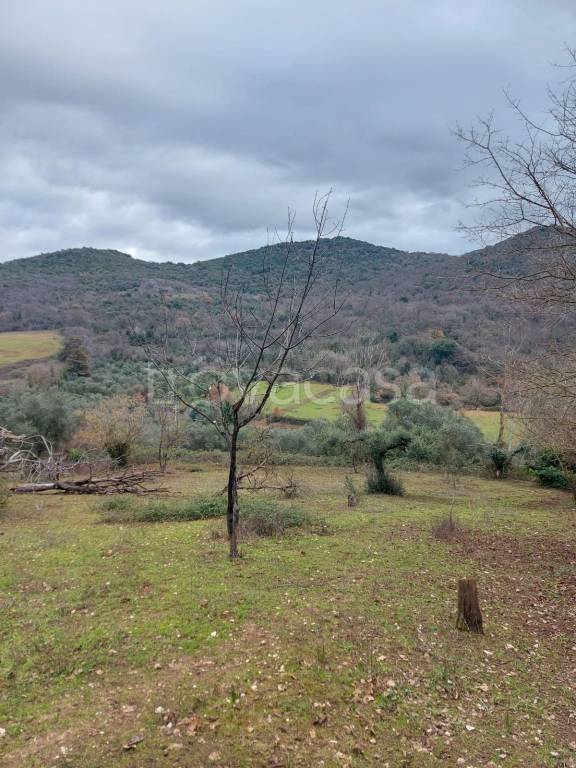 terreno agricolo in vendita a Sant'Angelo Romano