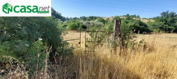 terreno agricolo in vendita a Sant'Angelo Romano