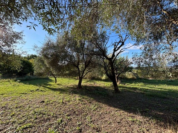 appartamento in vendita a Sant'Angelo Romano