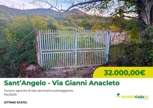 terreno agricolo in vendita a Sant'Angelo Romano