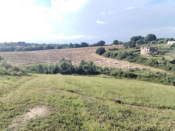 terreno agricolo in vendita a Sant'Angelo Romano