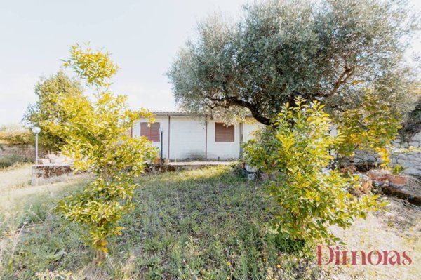 appartamento in vendita a Sant'Angelo Romano
