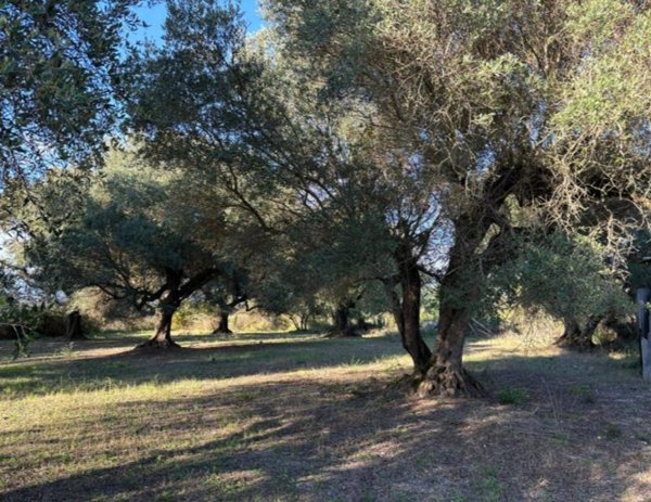 appartamento in vendita a Sant'Angelo Romano