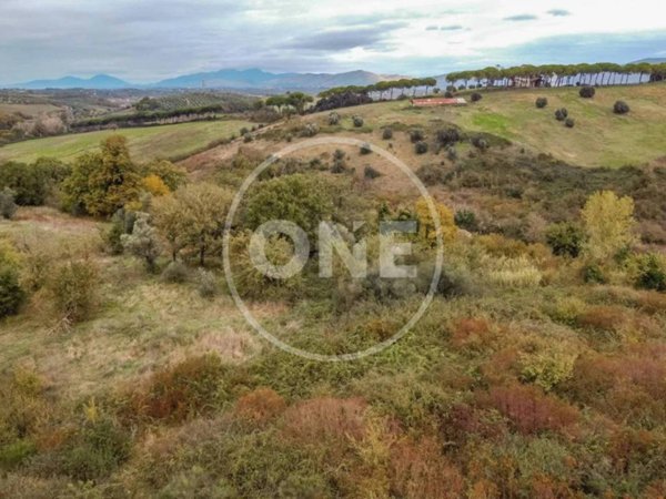 terreno agricolo in vendita a Sant'Angelo Romano