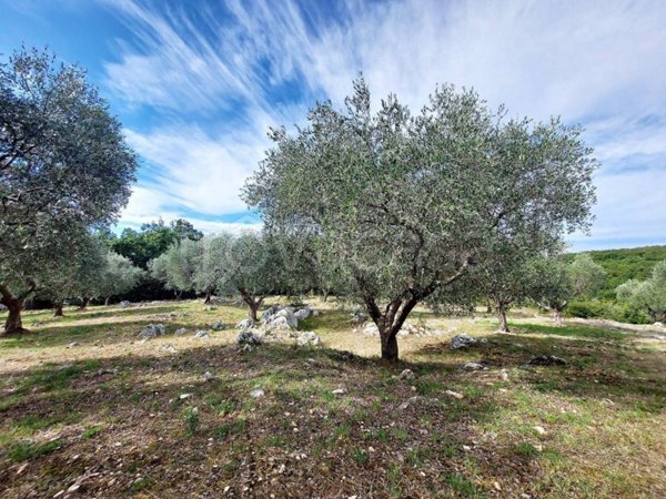 casa indipendente in vendita a Sant'Angelo Romano