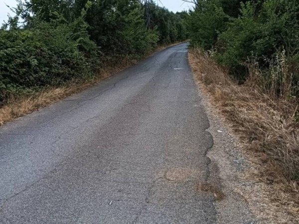 terreno agricolo in vendita a Sant'Angelo Romano