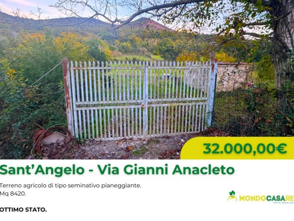 terreno agricolo in vendita a Sant'Angelo Romano