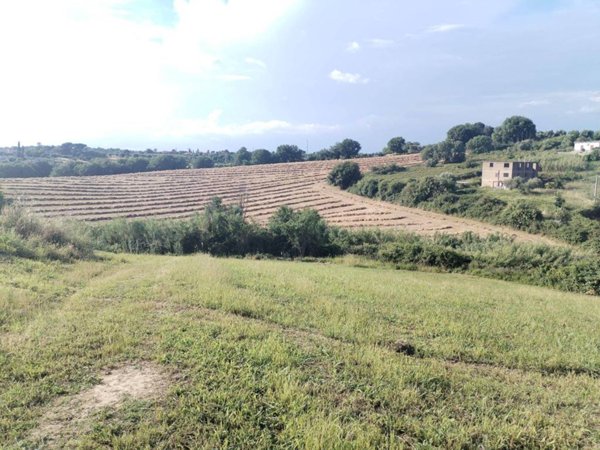terreno agricolo in vendita a Sant'Angelo Romano