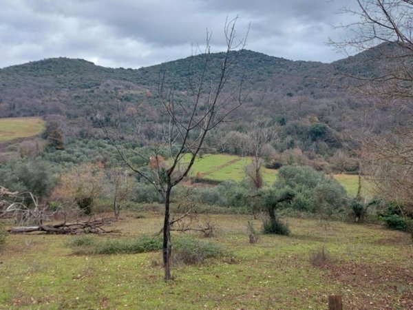 terreno agricolo in vendita a Sant'Angelo Romano