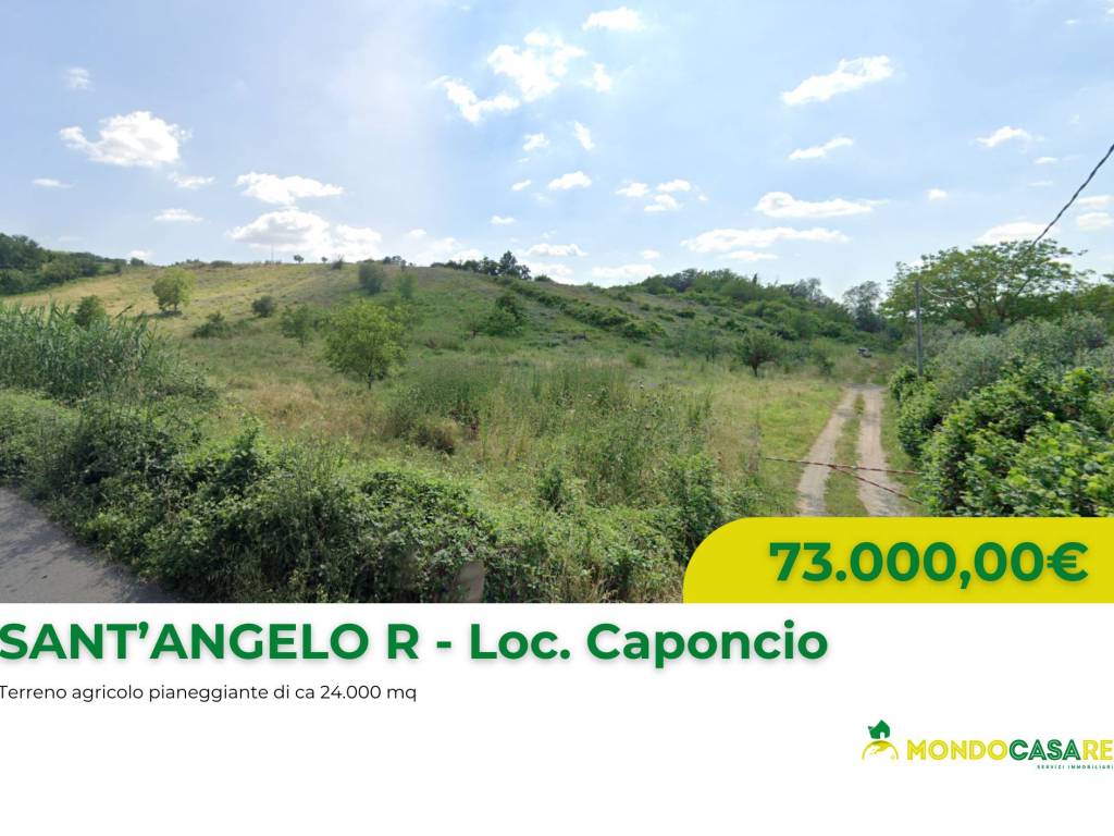 terreno agricolo in vendita a Sant'Angelo Romano