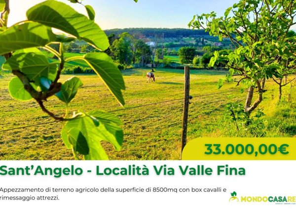 terreno agricolo in vendita a Sant'Angelo Romano