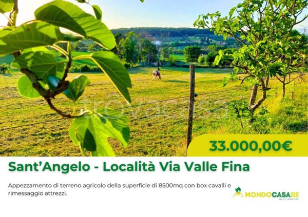 terreno agricolo in vendita a Sant'Angelo Romano