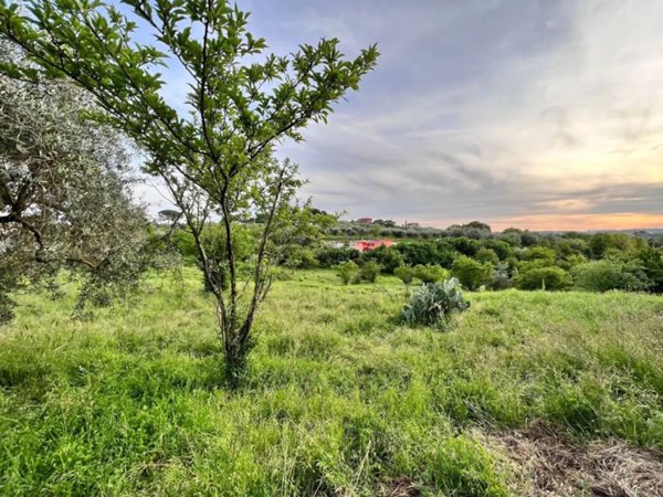 terreno agricolo in vendita a Sant'Angelo Romano