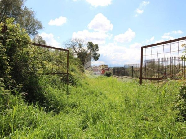 terreno agricolo in vendita a Sant'Angelo Romano