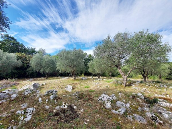 terreno edificabile in vendita a Sant'Angelo Romano