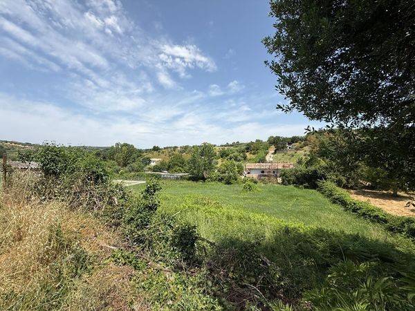 terreno agricolo in vendita a Sant'Angelo Romano