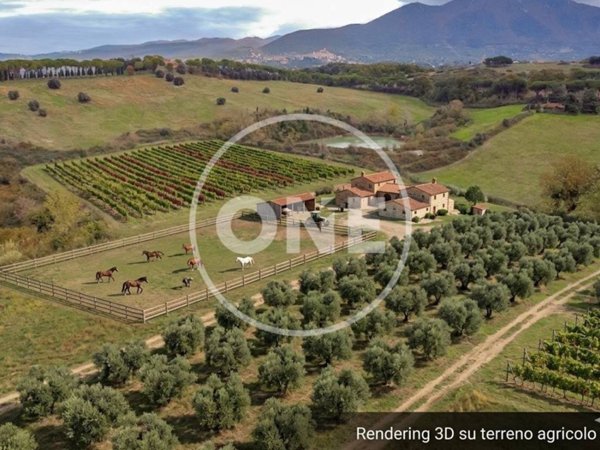terreno agricolo in vendita a Sant'Angelo Romano