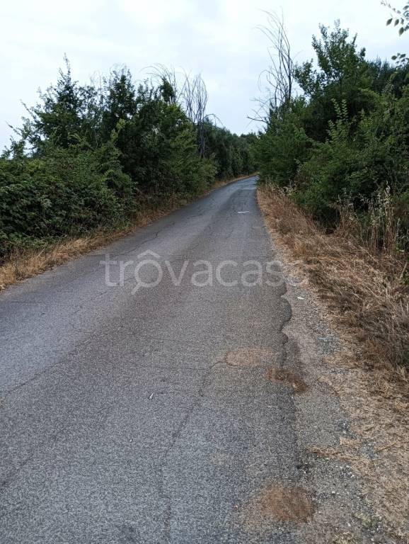 terreno agricolo in vendita a Sant'Angelo Romano