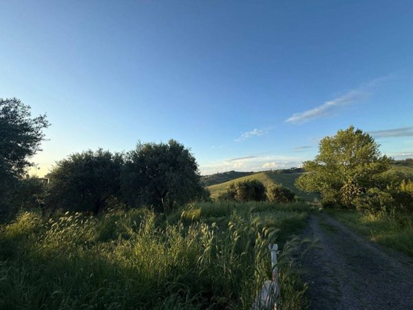 terreno agricolo in vendita a Sant'Angelo Romano