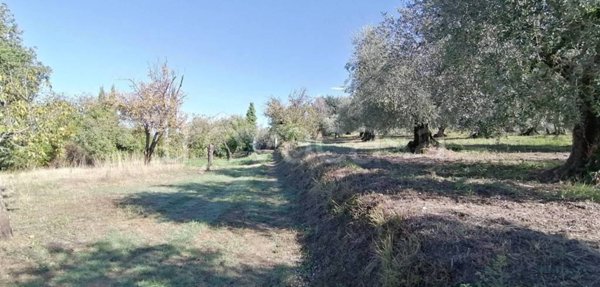 terreno agricolo in vendita a Sant'Angelo Romano