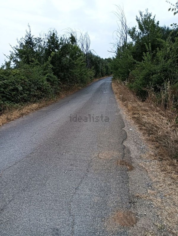 terreno agricolo in vendita a Sant'Angelo Romano