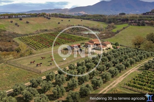 terreno agricolo in vendita a Sant'Angelo Romano