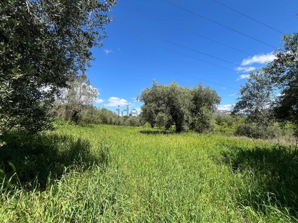 terreno agricolo in vendita a Sant'Angelo Romano