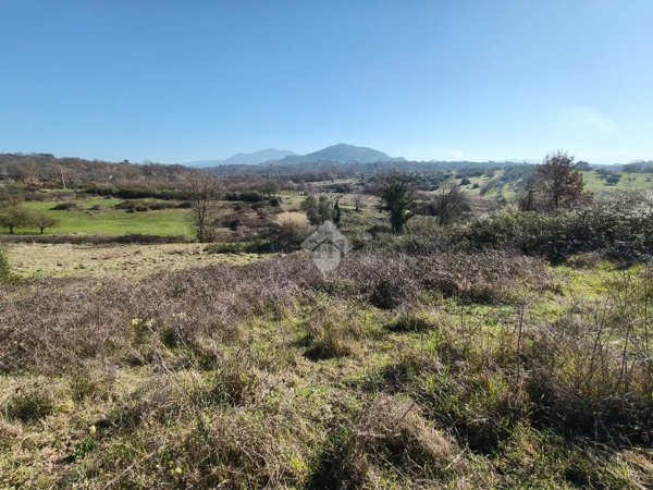 terreno agricolo in vendita a Sant'Angelo Romano