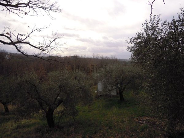 terreno agricolo in vendita a Sant'Angelo Romano