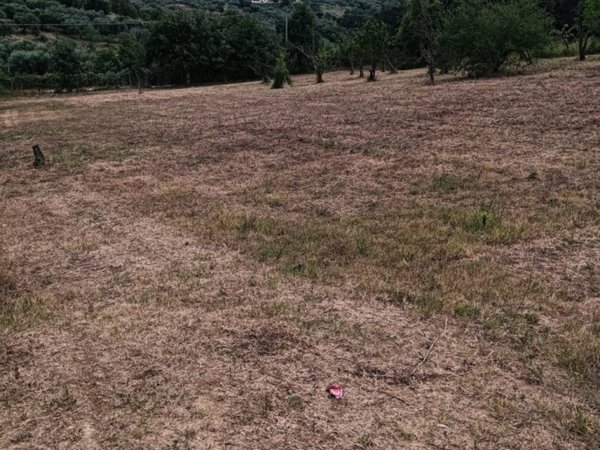 terreno agricolo in vendita a Sant'Angelo Romano
