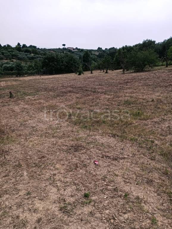 terreno agricolo in vendita a Sant'Angelo Romano
