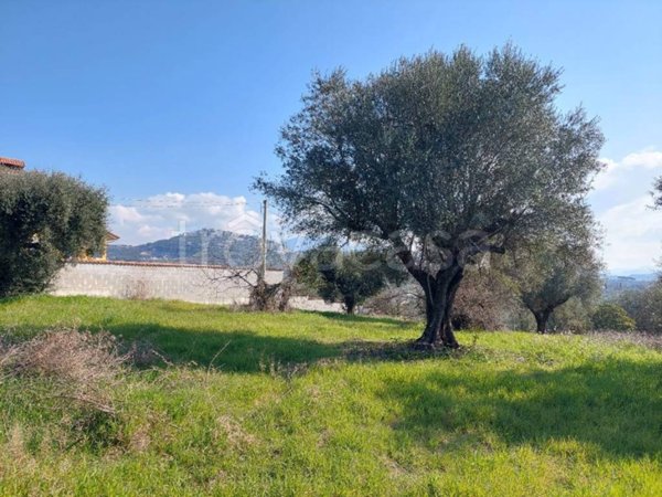 terreno agricolo in vendita a Sant'Angelo Romano in zona Montardone