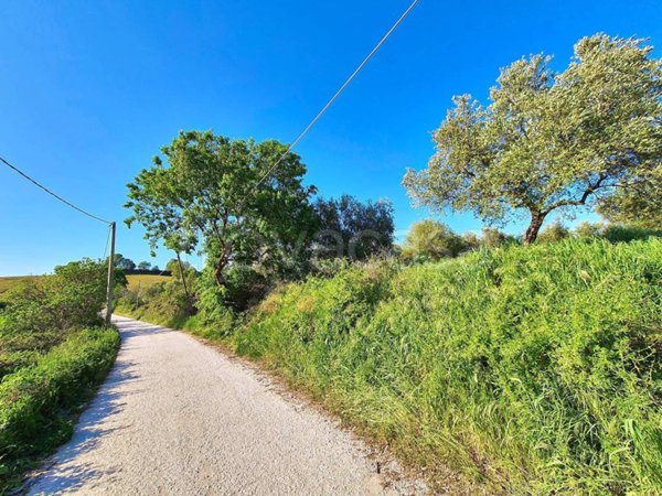 terreno agricolo in vendita a Sant'Oreste