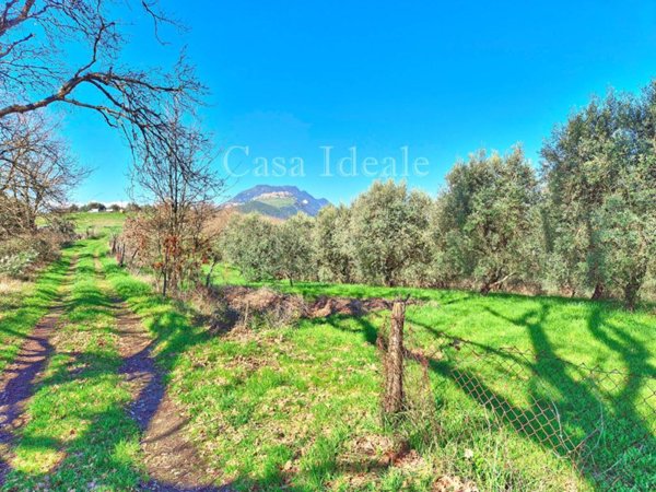 terreno agricolo in vendita a Sant'Oreste