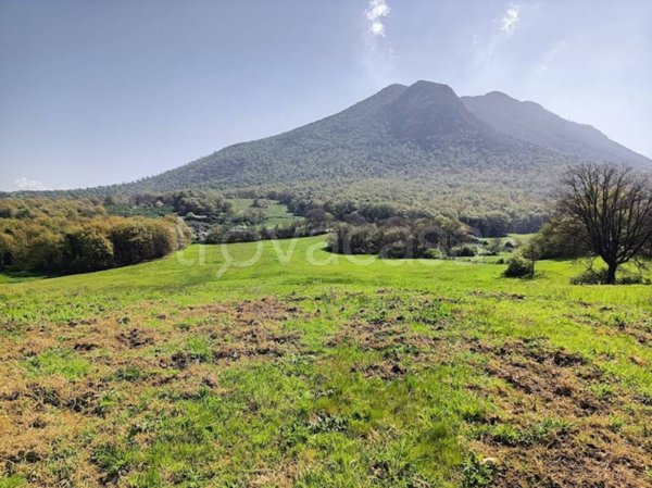 terreno agricolo in vendita a Sant'Oreste