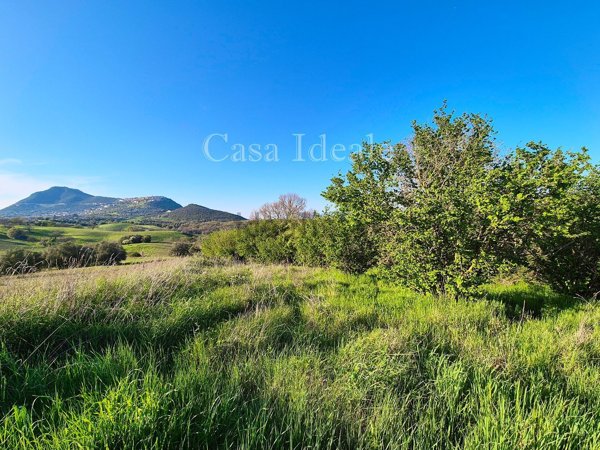 terreno agricolo in vendita a Sant'Oreste