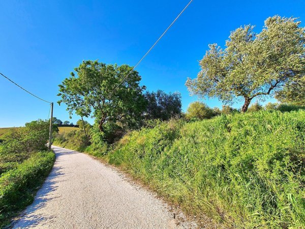 terreno agricolo in vendita a Sant'Oreste