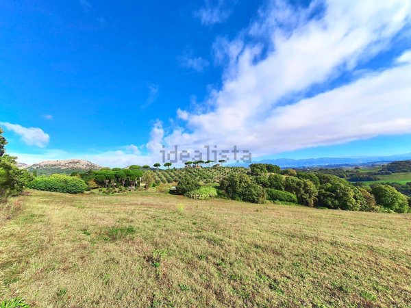 terreno agricolo in vendita a Sant'Oreste