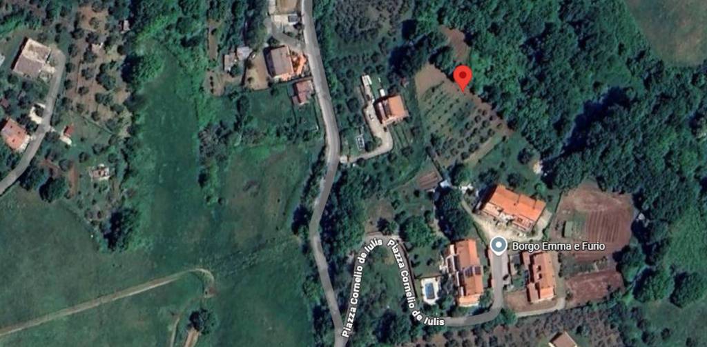 terreno agricolo in vendita a Sant'Oreste