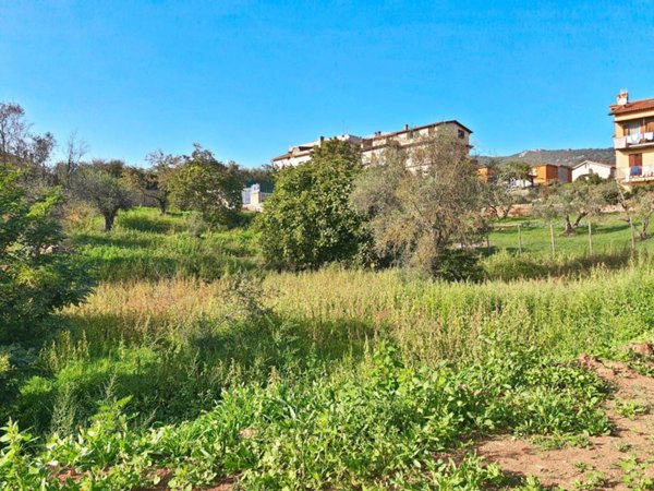 terreno agricolo in vendita a Sant'Oreste