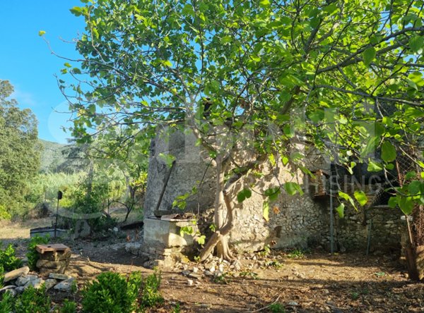 terreno agricolo in vendita a Sant'Oreste