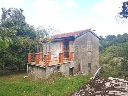 terreno agricolo in vendita a Segni