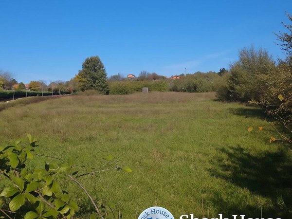 terreno agricolo in vendita a Segni