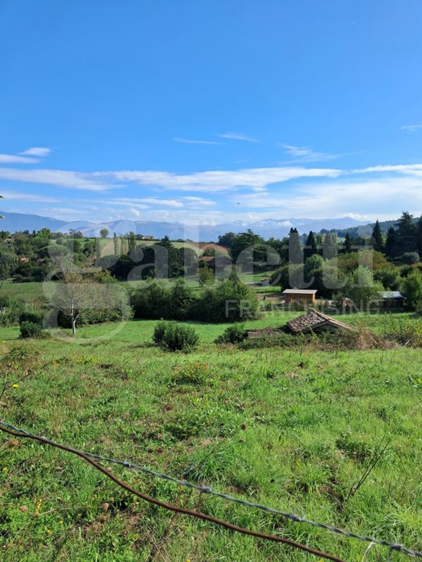 negozio in vendita a Segni