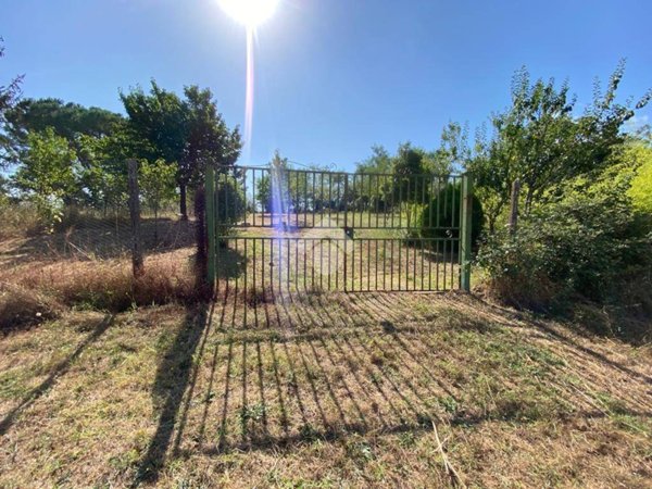terreno agricolo in vendita a Segni