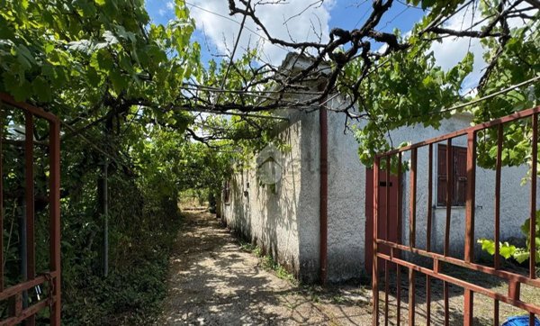 appartamento in vendita a Segni