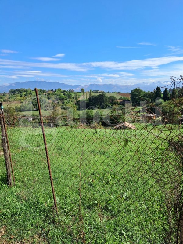 negozio in vendita a Segni