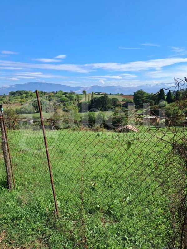 negozio in vendita a Segni