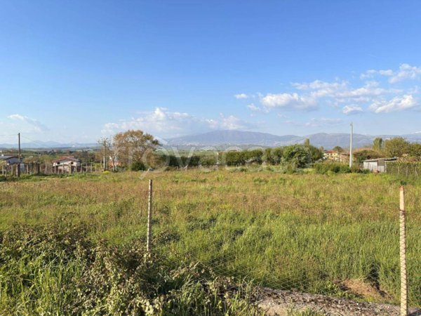 terreno agricolo in vendita a Segni